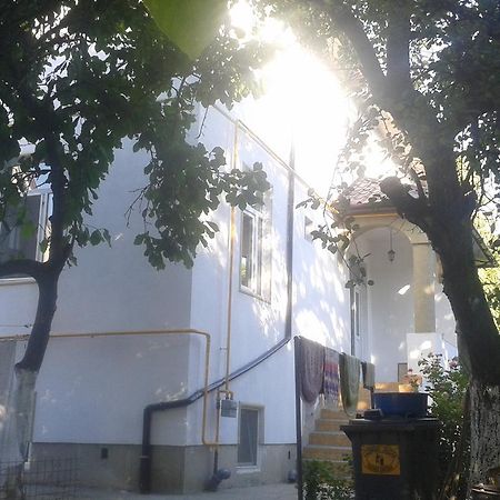 Alfredo Hostel Craiova Buitenkant foto