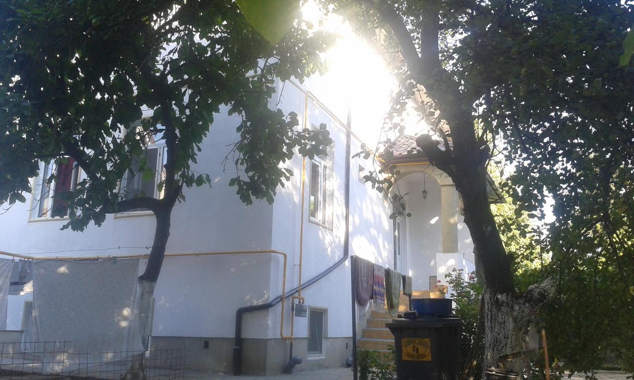 Alfredo Hostel Craiova Buitenkant foto